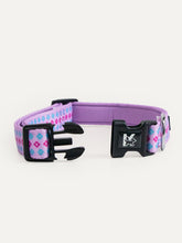 Dog Collar - Candy Daisy Parade